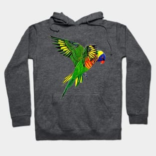 Rainbow Lorikeet Hoodie